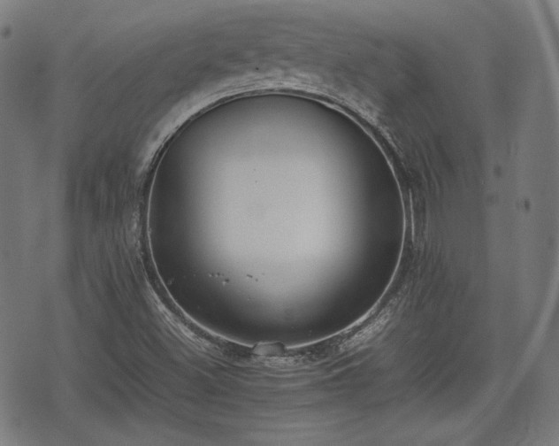 X0000074931500200609081312