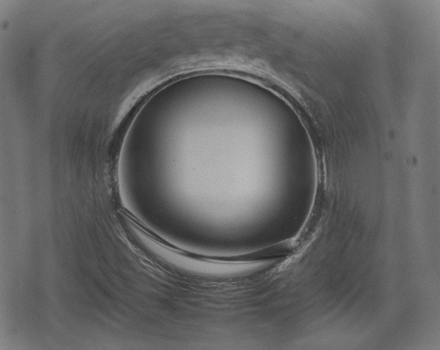 X0000074931501200609081312