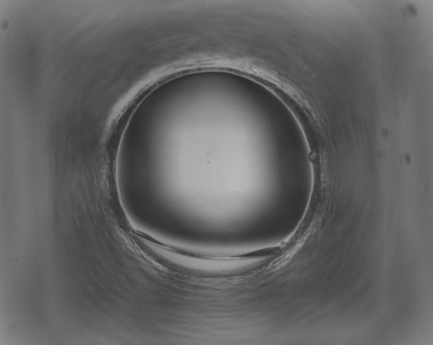 X0000074931502200609081312