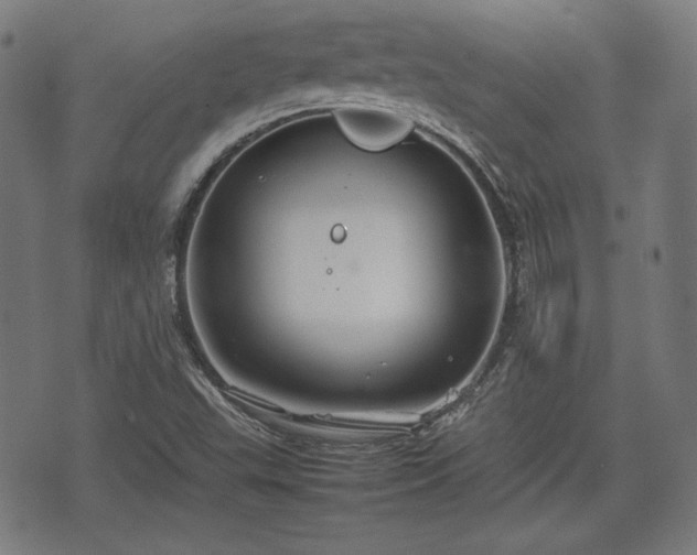 X0000074931503200609081312