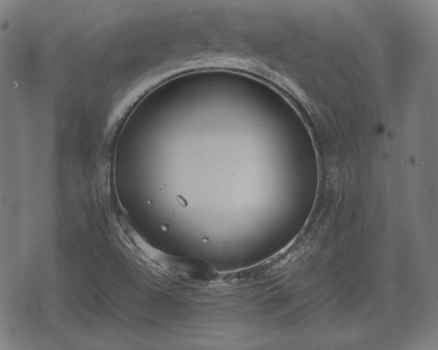 X0000074931504200609081312