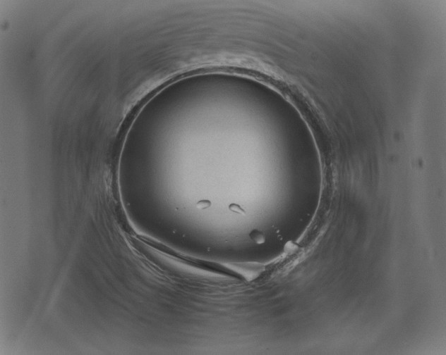 X0000074931505200609081313