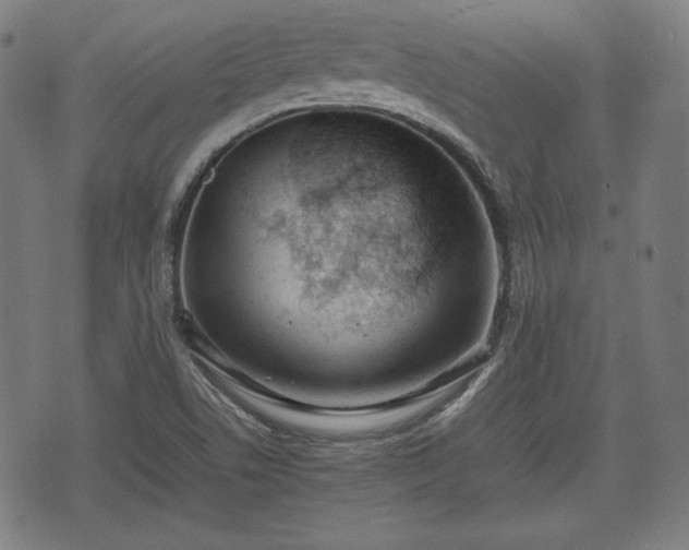 X0000074931506200609081313