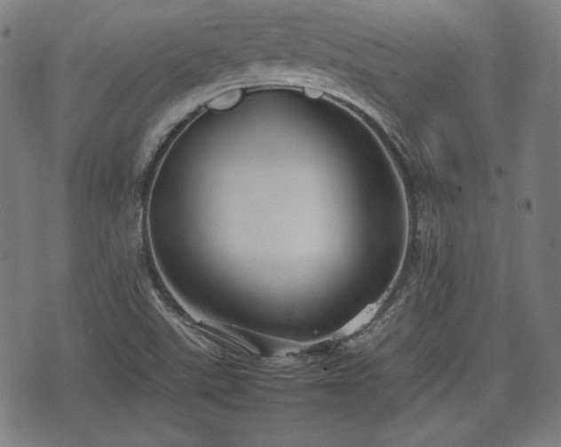 X0000074931507200609081313