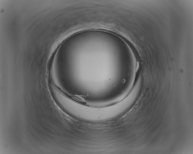 X0000074931508200609081313