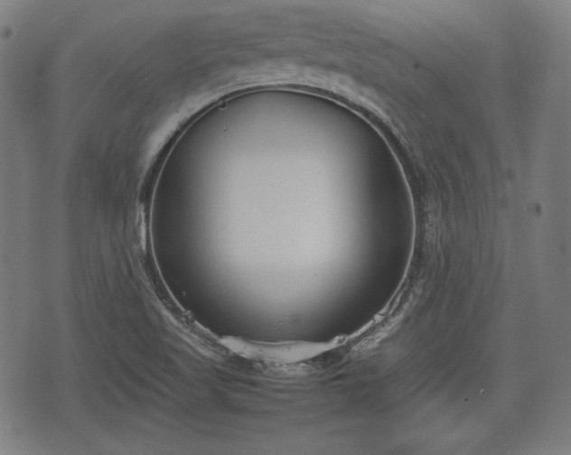 X0000074931509200609081313