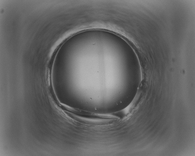 X0000074931510200609081313