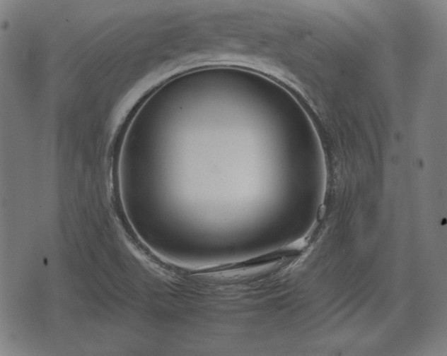 X0000074931511200609081313