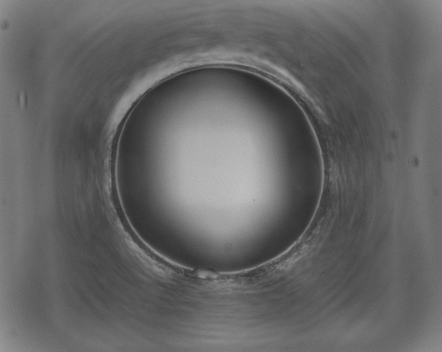 X0000074931512200609081313