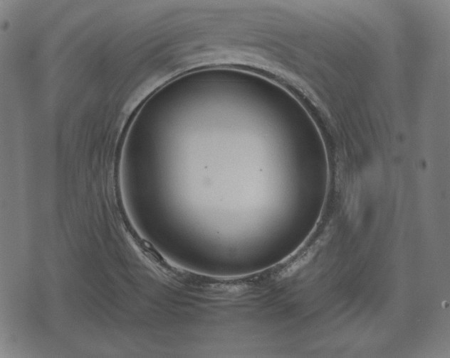 X0000074931513200609081313