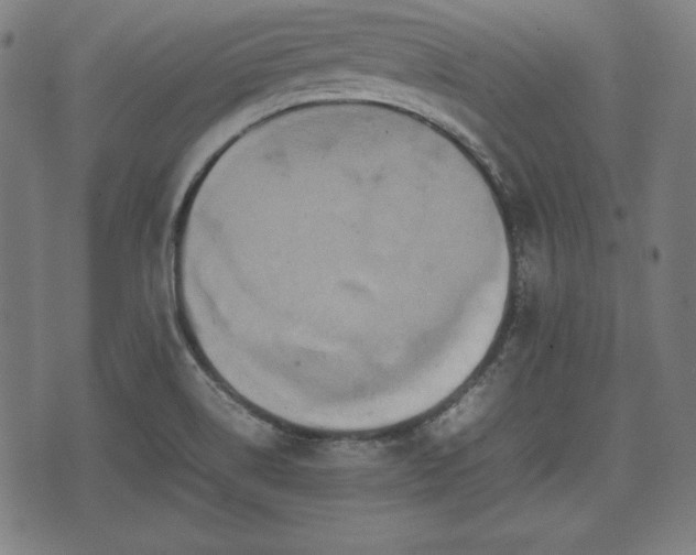 X0000074931514200609081313