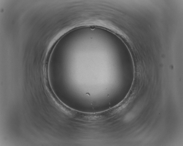 X0000074931517200609081313