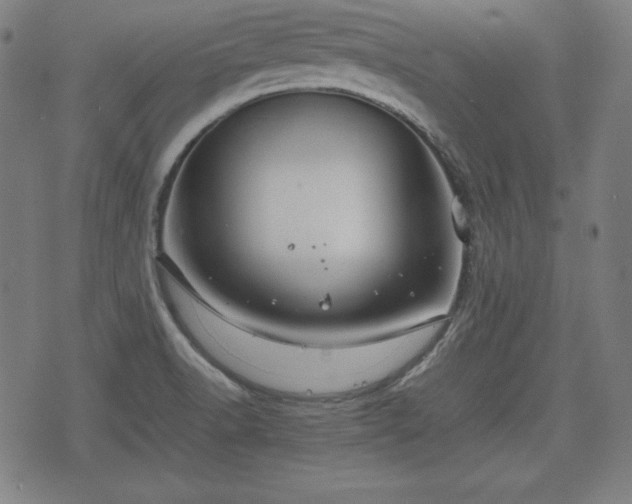 X0000074931518200609081313