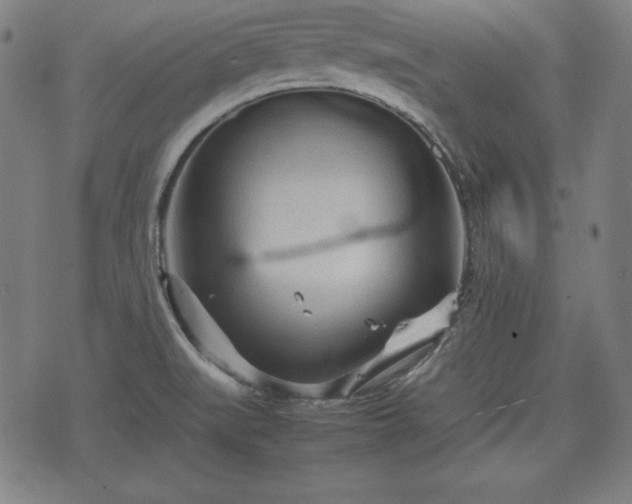 X0000074931519200609081313