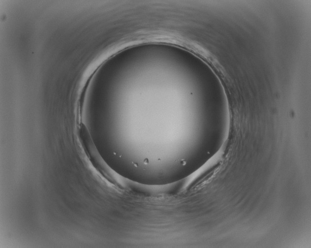 X0000074931520200609081313