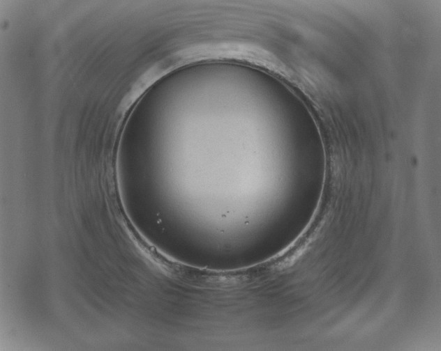 X0000074931521200609081313