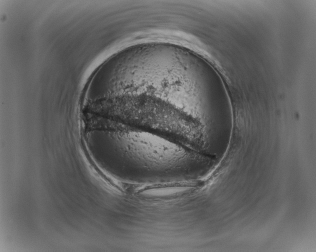 X0000074931522200609081313