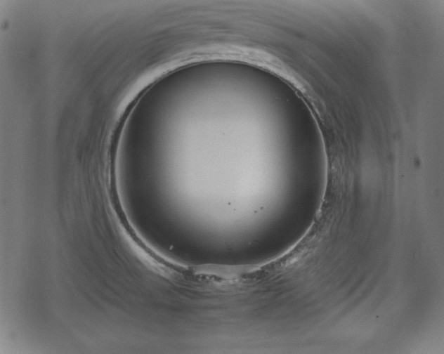 X0000074931523200609081313