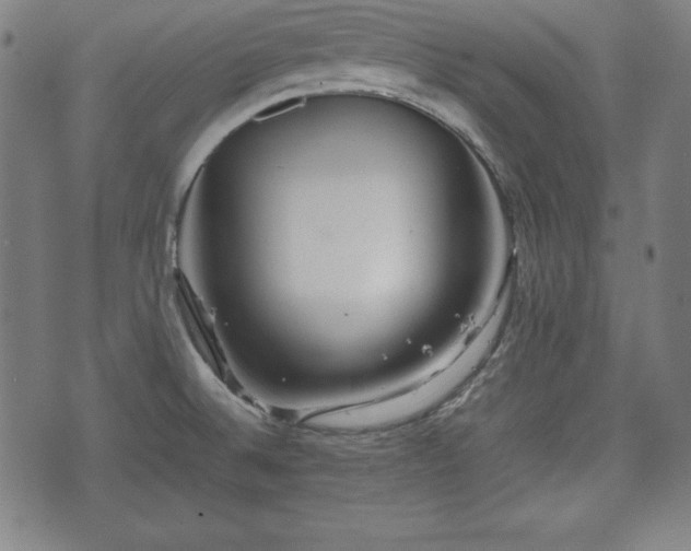 X0000074931524200609081313