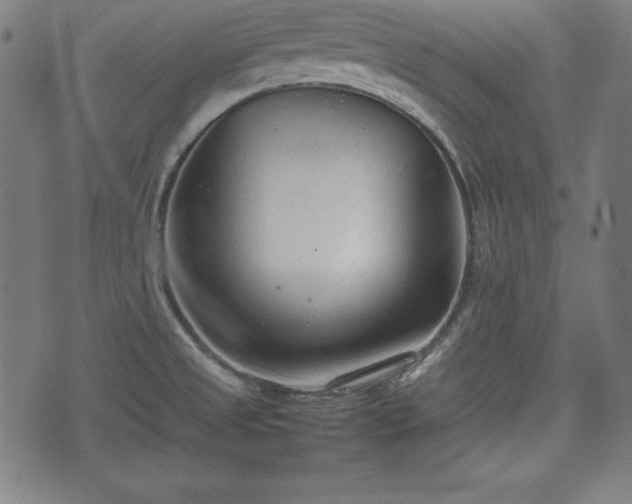 X0000074931525200609081313