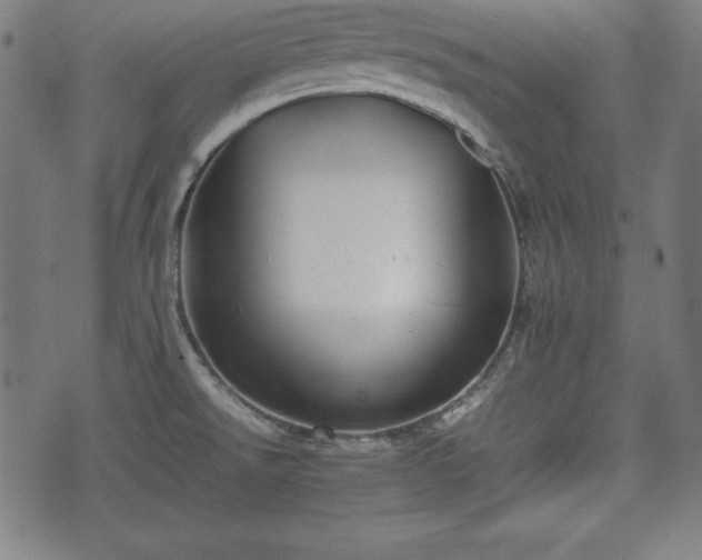 X0000074931526200609081313