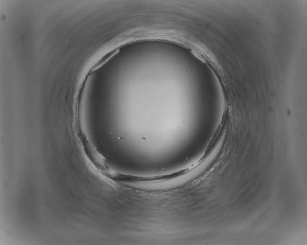 X0000074931528200609081313