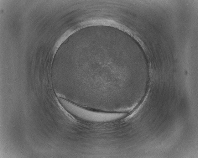 X0000074931529200609081313