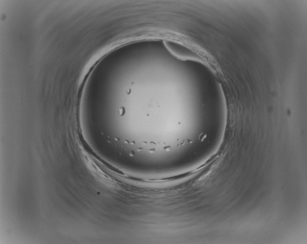 X0000074931530200609081313