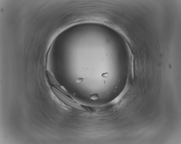 X0000074931532200609081313