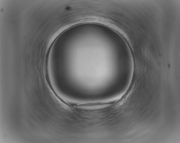 X0000074931533200609081313