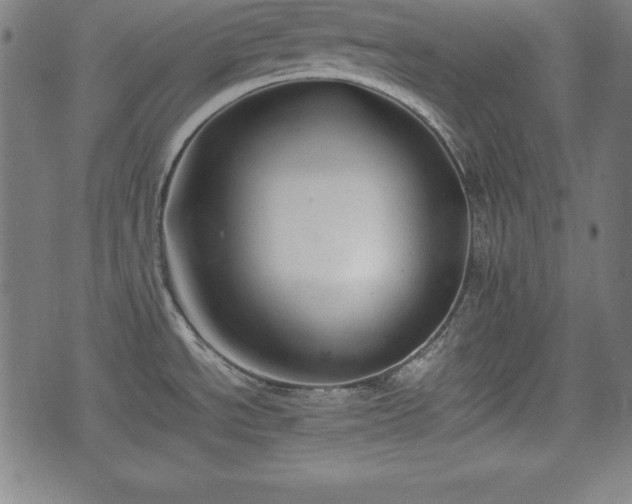 X0000074931534200609081313