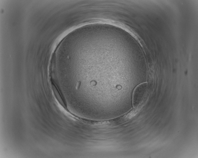 X0000074931535200609081313