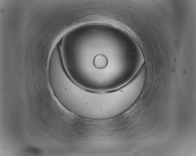 X0000074931536200609081313