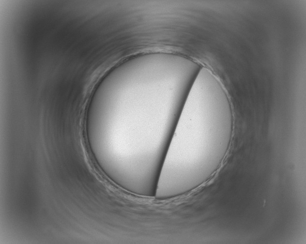 X0000074930001200609151951