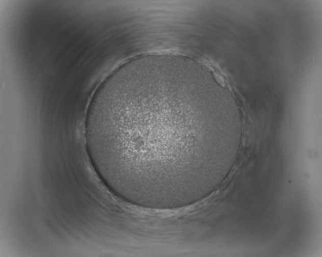 X0000074930002200609151951