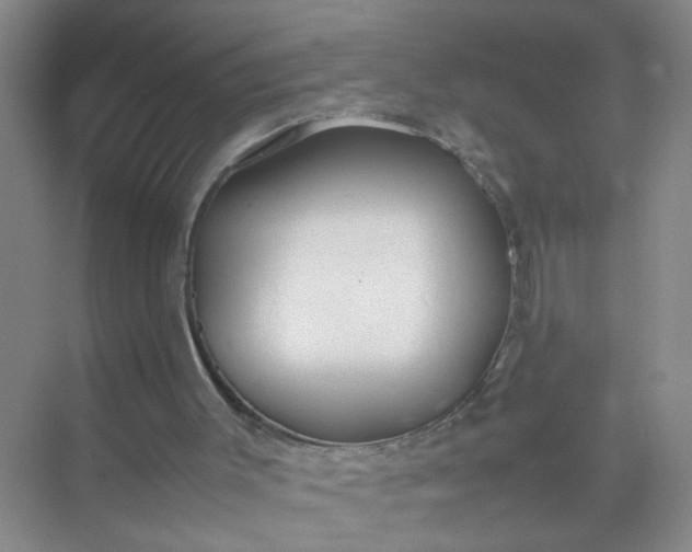 X0000074930003200609151951