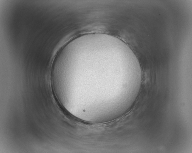 X0000074930004200609151951