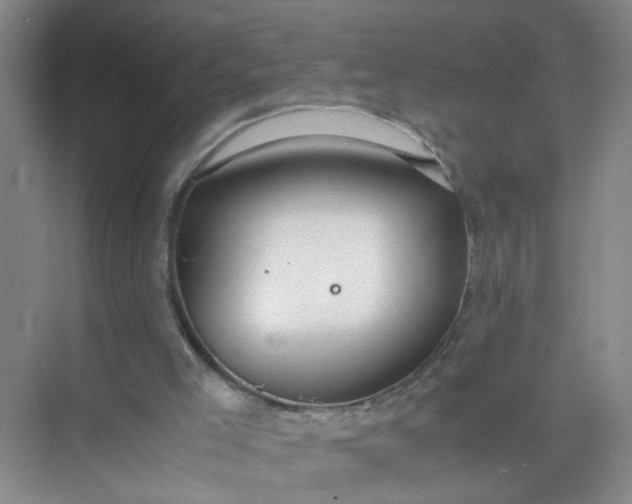 X0000074930005200609151951