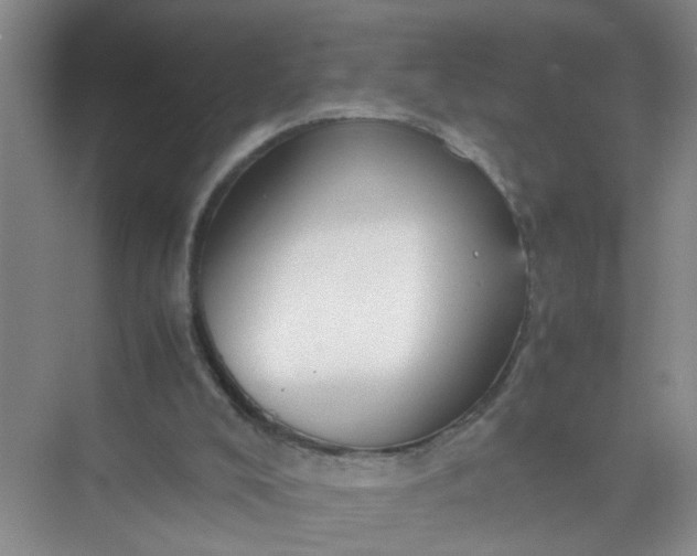 X0000074930008200609151951