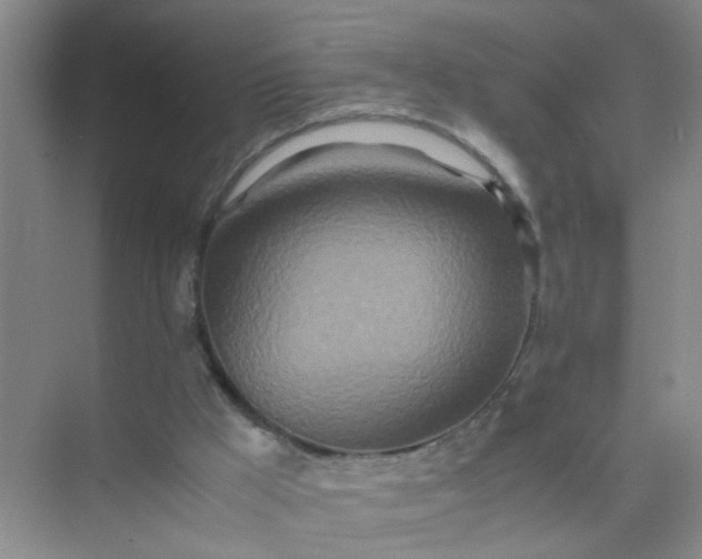 X0000074930009200609151951