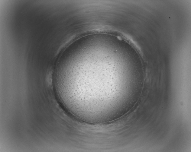 X0000074930010200609151951