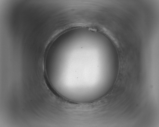 X0000074930011200609151951