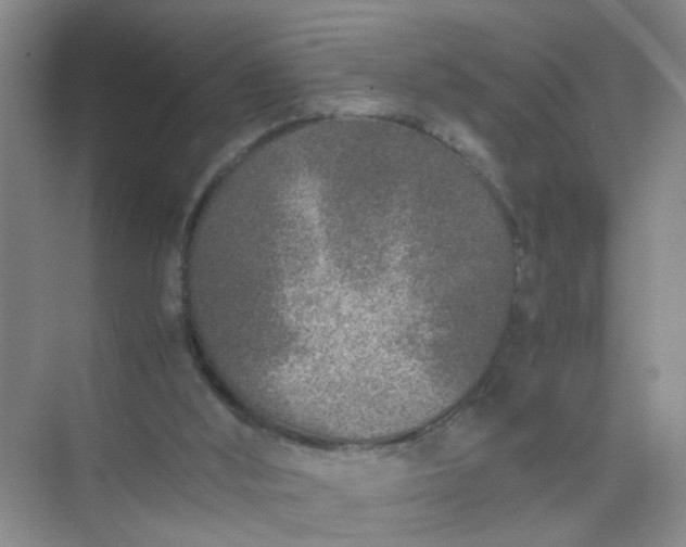 X0000074930012200609151950