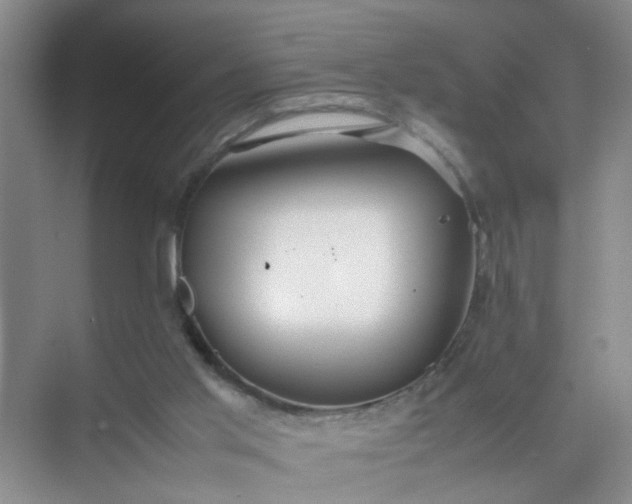 X0000074930013200609151950