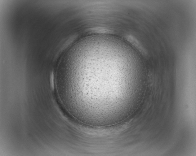 X0000074930014200609151950