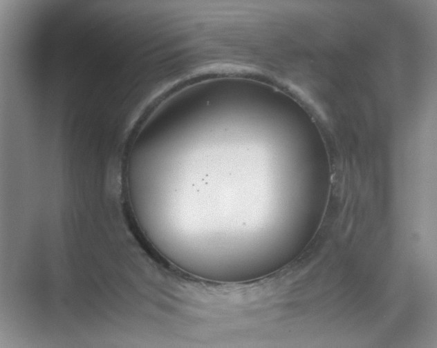 X0000074930015200609151950