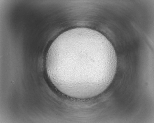 X0000074930016200609151950