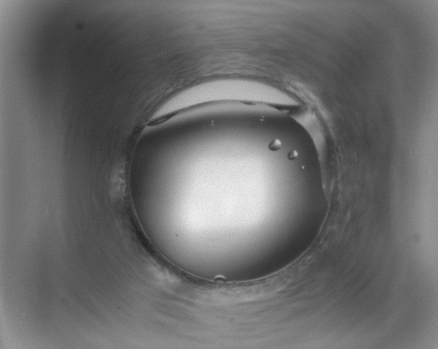 X0000074930017200609151950