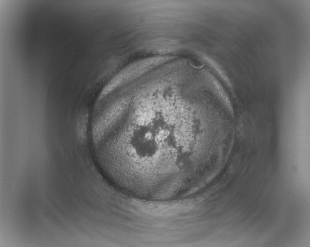 X0000074930018200609151950