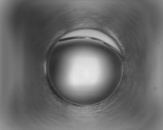 X0000074930019200609151950